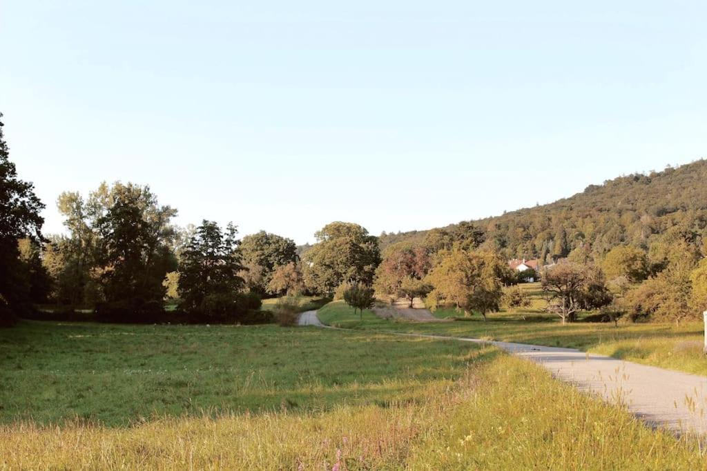 Smart-Apartment Blickwinkel Schwarzwald กากเกเนา ภายนอก รูปภาพ
